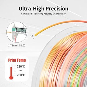 SUNLU Rainbow Silk PLA+ 3D Printer Filament and PLA Meta White, 3D Printing PLA+ Filament 1.75mm, 1kg(2.2LBS) Spool, Rainbow