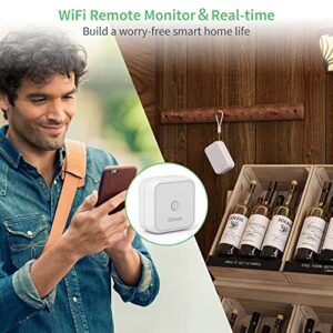 WiFi Temperature Sensor 3 Pack, Diivoo Remote Thermometer Compatible with Alexa, Wireless Humidity Monitor with App Notification Alert, Smart Hygrometer Meter for Home, Pet, Indoor