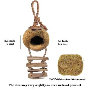 SunGrow Leopard Gecko Coconut Husk Hut with Ladder and Coco Fiber Bedding, with Shell Opening, 2.5” Opening Diameter, Cave Habitat with Hanging Loop, 1.5 oz Fiber Bedding