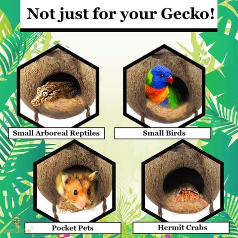 SunGrow Leopard Gecko Coconut Husk Hut with Ladder and Coco Fiber Bedding, with Shell Opening, 2.5” Opening Diameter, Cave Habitat with Hanging Loop, 1.5 oz Fiber Bedding