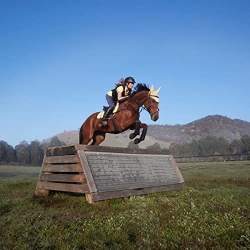 Weatherbeeta Prime Jump Shaped Saddle Pad, Mulberry, Full