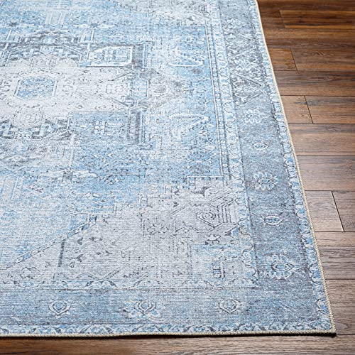 Artistic Weavers Suri Vintage Washable Area Rug, 2'7" x 18', Light Blue