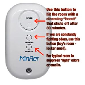 Mini Aer - Air Single Room Purifier up to 250 sqft, Triad Aer, Portable Purifier, great for RV’s, Hotel Rooms, Boats, Kitchens, Salons get rid of just any smell you come across, White