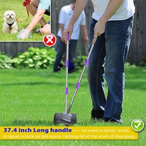 Pooper Scooper for Large & Small Dogs - Rust Proof Stainleass Metal Dog Pooper Scooper - Strong & Sturdy Rake & Scooper with 37.4" No Bending Long Handle Great for Yard or Outdoor (Standard)