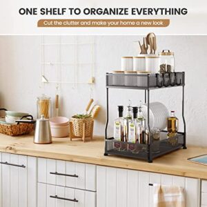 PHINOX Reinforced Metal Organizers and Storage with 4 Hooks, 2 Tier for Under Cabinet/Sink, Kitchen, Bathroom