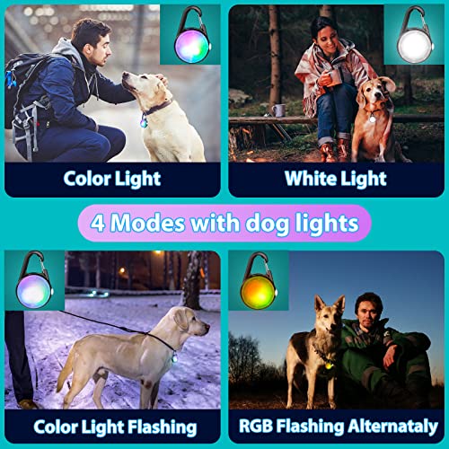 Dog Collar Lights for Night Time, 4 Modes Dog Collar Light Rechargeable Led Light for Dog Collar, IP68 Waterproof Dog Light for Night Walking, Safety Dog Collar Lights for Night Time Clip On (Black)