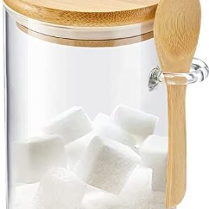 KOIKEY Sugar Jar Glass Salt Container - 15oz Clear Airtight Caning with Bamboo Lid and Spoon Scoop, Storage Overnight Oats, Salts, Coffee Bean, Spice, Creamer, Food Organizer, Pack of 1