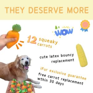 iFur 12 Squeaky Carrots Enrichment Dog Puzzle Toys, Hide and Seek Carrot Farm Dog Toys, 13''x13'' Carrot Patch Dog Snuffle Toy for Small Medium and Large Dogs (12 Squeaky Carrots + Corn)