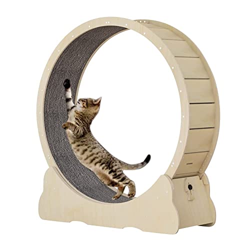 Homegroove Cat Exercise Wheel for Indoor Cats, Cat Running Wheel with Carpeted Runway, Cat Sport Treadmill Wheel for Kitty’s Longer Life, Fitness Weight Loss Device, 39.3" H Natural Wood Color(M)