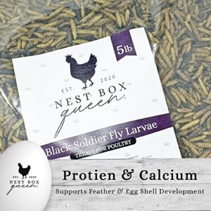 Nest Box Queen Black Soldier Fly Larvae - Calcium Rich Treats for Laying Hens - 5 LB