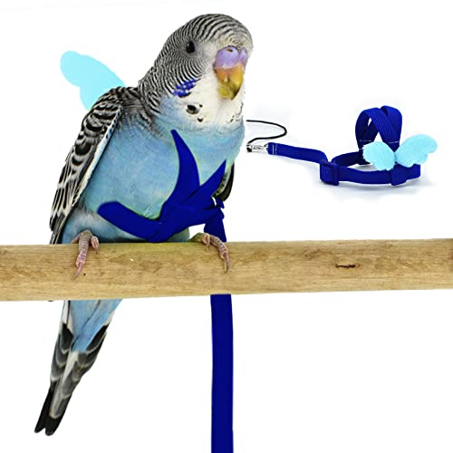 Budgerigar Harness and Leash, Adjustable Parrot Bird Training Design Anti-Bite, Bird Nylon Rope with Cute Wing for Budgerigar and Same Size Birds (S, Blue)