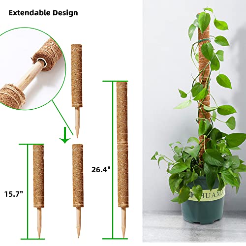 Moss Pole for Plants Monstera, 69 Inch Plant Support Stakes for Indoor Plants, 6 Pcs 15.7Inch Plant Moss Poles for Indoor Potted Climbing Plants Creepers, Plant Sticks Coco Coir Pole