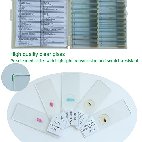 100 Microscope Slides with Specimens, Microscope Samples with Insects, Plants and Animals for Students Kids Science Learning, Suitable for Home School Use