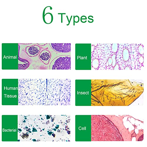 100 Microscope Slides with Specimens, Microscope Samples with Insects, Plants and Animals for Students Kids Science Learning, Suitable for Home School Use