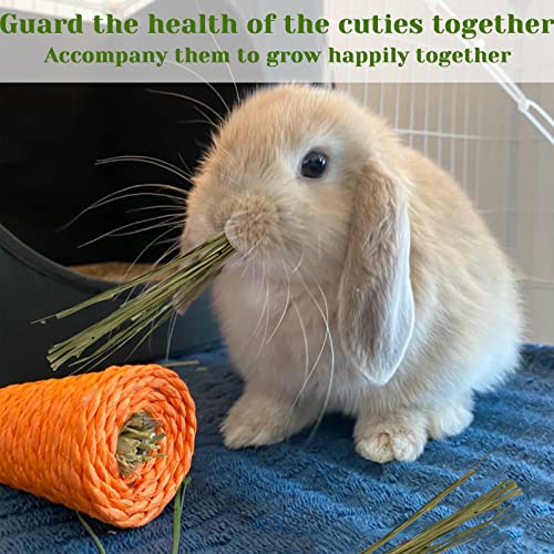 Hamiledyi Natural Timothy Hay Rabbit Hay Feed Guinea Pig Premium Grass Hay Small Animal Pets Hay Food for Bunny Chinchillas Chipmunkas (2.2Ib