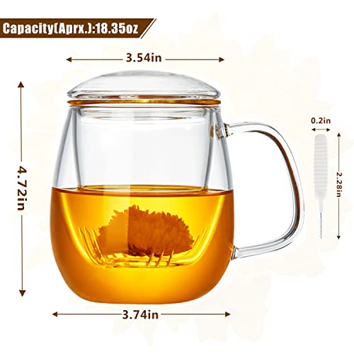 WHJY Glass Tea Cup with Infuser and Lid, 18 ounce Glass Tea Cups with Strainer, Loose Leaf Tea Cup Mug for One, Lead-free Borosilicate Glass Teacups, Heat Resistance, Microwave & Dishwasher Safe