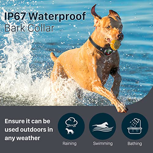 NBJU Rechargeable Anti Barking Collar with 5 Adjustable Sensitivity, Optional Beep Vibration Shock Mode, Humane Dog Training Collar for Large Medium Small Dogs, IP67 Waterproof