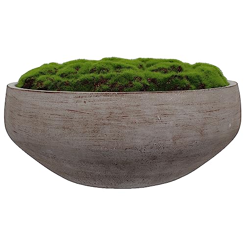 Macomine Design Newly Released Moss Bowl |12" Diameter | Artificial | Hand-Painted Cement Bowl | Home Décor