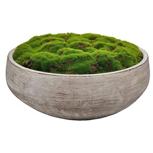 macomine design newly released moss bowl |12" diameter | artificial | hand-painted cement bowl | home décor