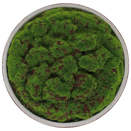 Macomine Design Newly Released Moss Bowl |12" Diameter | Artificial | Hand-Painted Cement Bowl | Home Décor