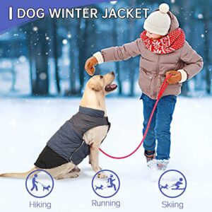 Warm Winter Jacket for Dogs,Reversible Furry Coat with Leash Hole,Puppy Cat Waterproof Reflective Vest Cloth for Cold Weather,Navyblue,XS