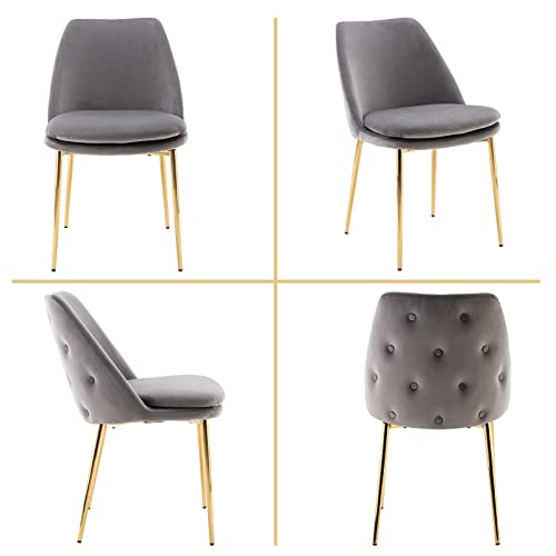 QUINJAY Modern Accent Dining Chairs Set of 6, Velvet Upholstered Dining Room Chairs Tufted Back Armless Side Chairs Vanity Chairs with Gold Legs for Kitchen Living Room Bedroom Grey