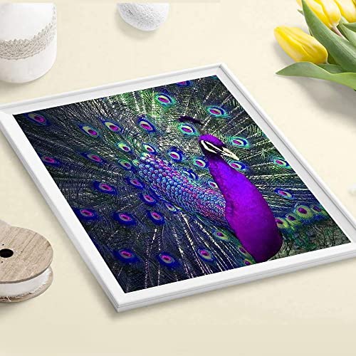 12 Pack Diamond Painting Kits for Adults,Diamond Art Birds Animals HD Canvas DIY 5D Full Drill Round Crystal Rhinestone Gem Arts Dots Diamonds Craft Paint for New Home Wall Decor - 12x12inch X12PCS