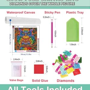 12 Pack Diamond Painting Kits for Adults,Diamond Art Birds Animals HD Canvas DIY 5D Full Drill Round Crystal Rhinestone Gem Arts Dots Diamonds Craft Paint for New Home Wall Decor - 12x12inch X12PCS