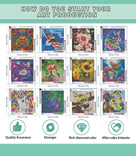 12 Pack Diamond Painting Kits for Adults,Diamond Art Birds Animals HD Canvas DIY 5D Full Drill Round Crystal Rhinestone Gem Arts Dots Diamonds Craft Paint for New Home Wall Decor - 12x12inch X12PCS