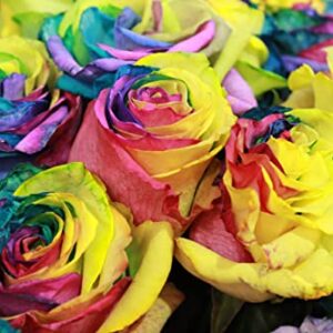 100-Colorful Rainbow Rose Seeds-Beautiful Flower-Perennial