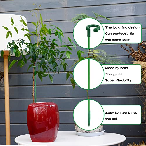 SupKing Plant Stakes,Invisible Plant Support Sticks with Rings for Indoor Outdoor Plants,16Pcs Plant Support Stakes Suitable for Potted Plant Flowers Peony Lily Rose Tomato (17"&11")