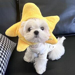 ANIAC Funny Cat Hat Yellow Starfish Small Dogs Cap Soft Star Shaped Puppy Headgear Halloween Pet Costume Warm Head Accessories for Rabbits Kitten Small Dogs (A)