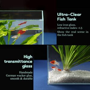 LAQUAL 3 Gallon Ultra Clear Glass Fish Tank, Rimless Low Iron Aquarium for Betta/Nano/Goldfish/Snail/Shrimp, Small Fish Tank with Fish Net & Cleaning Tools