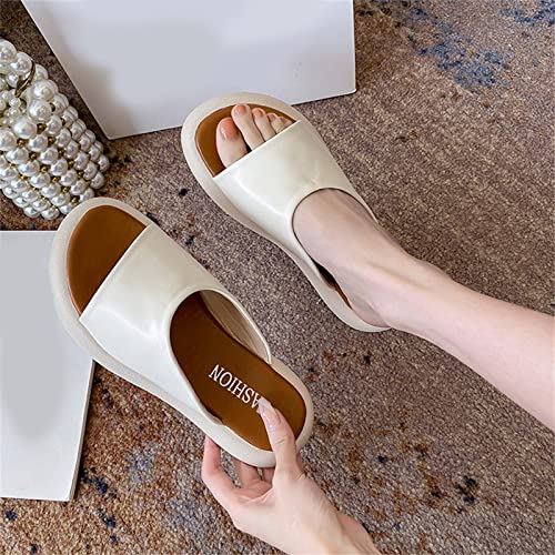 Fashion Spring And Summer Women Slippers Flat Thick Bottom Comfortable Solid Color Indoor And Outdoor Funky Monkey Sandals Women