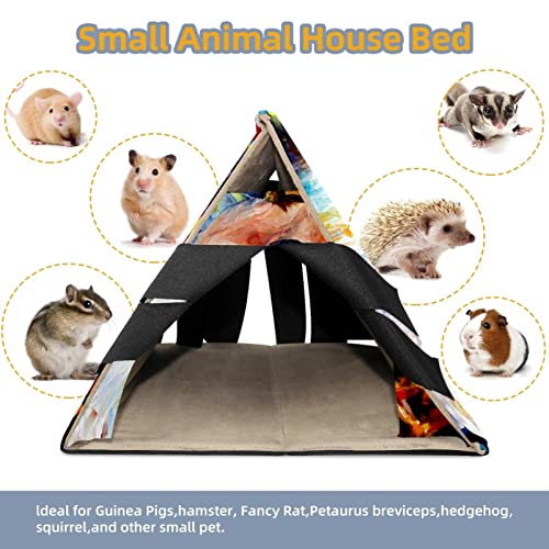 enheng Small Pet Hideout Oil Painting Art Ballet Dancer Hamster House Guinea Pig Playhouse for Dwarf Rabbits Hedgehogs Chinchillas