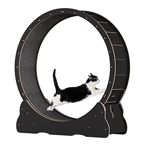 LCFALO Cat Exercise Wheel, Cat Wheel Treadmill Anti-Pinch Running Wheel Cat Exercise Cute Cat Furniture Cats Exercise Wheel Indoor Workout Game Fitness