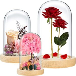 3 pieces cloche glass dome glass display dome cloche jar glass cloche with solid wood base for rose valentine's day decoration (wood color,4.7 x 8 in, 3.3 x 5.5 in, 2.9 x 4.6 in)