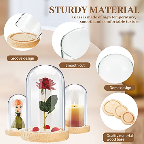 3 Pieces Cloche Glass Dome Glass Display Dome Cloche Jar Glass Cloche with Solid Wood Base for Rose Valentine's Day Decoration (Wood Color,4.7 x 8 In, 3.3 x 5.5 In, 2.9 x 4.6 In)