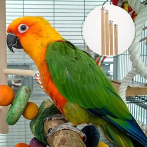 Mipcase Pet Birds Standing Bar 4PCS Parrot Standing Bird Perch Bird perches Parrot Perch Sticks Sturdy Bird Parrot Standing Sticks