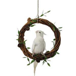 round bird swing, natural willow branch chewing bird toys, hanging climbing cage parrot perch play stands for small parrots lovebirds conures parakeets (large)