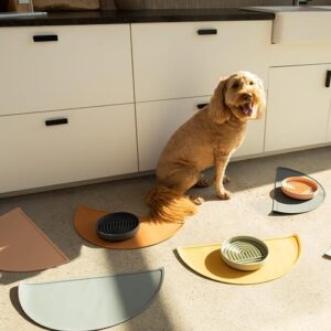 Slow Feeder Dog Bowl: The Slowdown Bowl is A Modern, Silicone Puzzle Bowl & Lick Mat. Slow Eating, Stop Gulping, Take It Easy. Dishwasher Safe. (Honey)