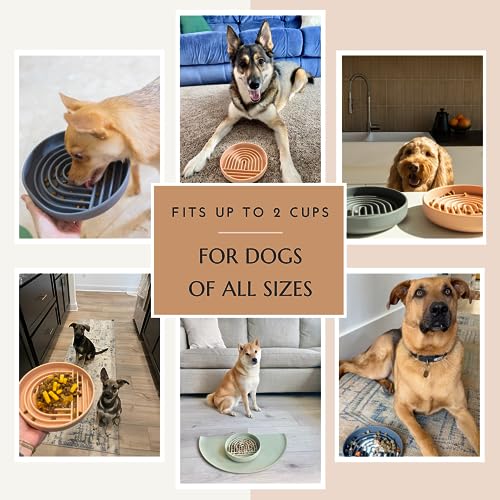 Slow Feeder Dog Bowl: The Slowdown Bowl is A Modern, Silicone Puzzle Bowl & Lick Mat. Slow Eating, Stop Gulping, Take It Easy. Dishwasher Safe. (Honey)