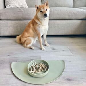 Slow Feeder Dog Bowl: The Slowdown Bowl is A Modern, Silicone Puzzle Bowl & Lick Mat. Slow Eating, Stop Gulping, Take It Easy. Dishwasher Safe. (Honey)