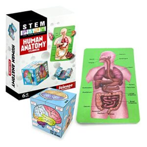 miirr human anatomy study cube showing the 9 parts of the human body with pictures and descriptions of human organs, best gift for nurses, medical students