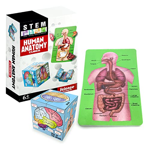 MIIRR Human Anatomy Study Cube Showing The 9 Parts of The Human Body with Pictures and Descriptions of Human Organs, Best Gift for Nurses, Medical Students