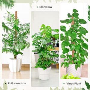 Byjogger Moss Pole, Moss Pole for Plants Monstera, 45'' Moss Poles for Climbing Plants, Monstera Moss Pole, Plant Support for Indoor Plants, Bendable Moss Pole for Plants Growth(1 Pcs)