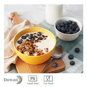 DOWAN Ceramic Soup Bowls, Colorful Deep Cereal Bowls, 30 Ounce Bowls Set of 4 for Ramen, Salad, Fruits, Snack, Pasta, Side Dishes, Ideal Wedding Party Housewarming Gift