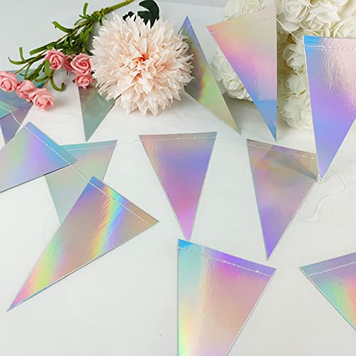 Iridescent Disco Party Decorations Garland, Retro 70s Triangle Streamers, Holographic Hanging Dancing Decor Backdrop, Sparkle Birthday Bachelorette Mermaid Unicorn Theme Party Supplies