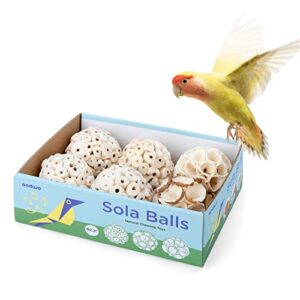 andwe bird toy sola balls - natural soft chew shredding & foraging toy for cockatiel conure quaker parrot budgie parakeet rabbit bunny guinea pig chinchilla (style 2 (pack of 6))