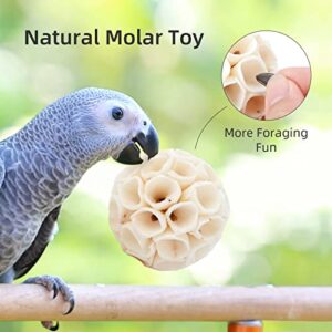 andwe Bird Toy Sola Balls - Natural Soft Chew Shredding & Foraging Toy for Cockatiel Conure Quaker Parrot Budgie Parakeet Rabbit Bunny Guinea Pig Chinchilla (Style 2 (Pack of 6))
